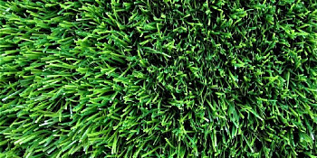 Пелегрин 35мм Пелегрин 35мм фото 1 | FLOORDEALER